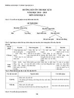 DE CUONG SINH 8 HKII 15 16