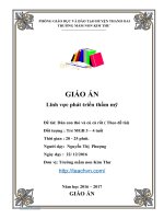 Giáo án dán con thỏ và củ cà rốt ( theo đề tài) trẻ MGB 3 – 4 tuổi 