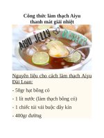 Công thức làm thạch aiyu thanh mát giải nhiệt