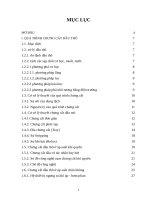 BÀI TIỂU LUẬN VỀ CHƯNG CẤT DẦU THÔ