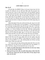 Nghiên cứu phẫu thuật ghép tấm biểu mô niêm mạc miệng nuôi cấy điều trị rối loạn nặng bề mặt nhãn cầu hai mắt (tt) 