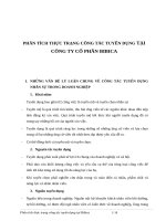 PHÂN TÍCH THỰC TRẠNG CÔNG tác TUYỂN DỤNG tại CÔNG TY cổ PHẦN BIBICA