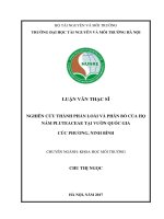 Nghiên cứu thành phần loài và phân bố của họ nấm Pluteaceae tại Vườn quốc gia Cúc Phương, Ninh Bình (Luận văn thạc sĩ)