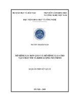 Mô hình 3-3-1 đơn giản và mô hình 3-2-2-1 cho vật chất tối và khối lượng neutrino