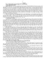 TÀI LIỆU THAM KHẢO KINH tế CHÍNH TRỊ   đề CƯƠNG ôn THI học PHẦN các mô HÌNH KINH tế THỊ TRƯỜNG THẾ GIỚI