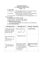 Giáo án Đại số 11 chương 1 bài 1: Hàm số lượng giác