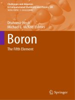Boron the fifth element (challenges and advances in computational chemistry and physics) 1st ed  2015 edition {