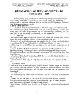 Kế hoạch giáo dục các chuyên đề mầm non 