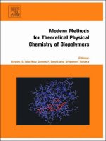 Modern methods for theoretical physical chemistry of biopolymers   evgeni starikov et al  (elsevier, 2006)