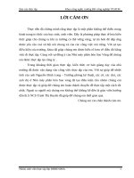 Báo cáo thực tập tại nhà máy phân bón sao vàng