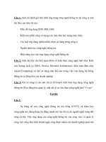 Anh chị đánh giá tình hình ứng dụng công nghệ thông tin tại công ty anh chị