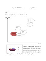 Bài tập marketing định vị sản phẩm hanoimilk 