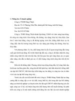 Phân tích sâu về vấn đề hành vi tổ chức   kỹ năng lãnh đạo 