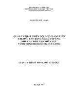 Quản lý phát triển đội ngũ giảng viên trường cao đẳng nghề đáp ứng nhu cầu đào tạo nhân lực vùng đồng bằng sông Cửu Long (Luận án tiến sĩ)