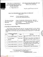 74A SMBD CBTT vv Bao cao tinh hinh quan tri cong ty niem yet nam 2017