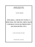 Nồng độ hs  CRP huyết tương và hình thái, tổn thương động mạnh cảnh đoạn ngoài sọ ở bệnh nhân đái tháo đường typ 2 (Luận văn thạc sĩ)