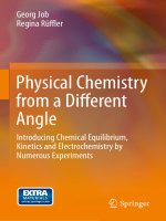 Physical chemistry from a different angle introducing chemical equilibrium, kinetics and electrochemistry by numerous experiments 1st ed  2016 edition {PRG}