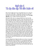 tả cây đào dịp tết đến xuân về