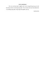 Công tác xây dựng nông thôn mới của xã Thanh Mai (huyện Chợ MớiBắc Cạn)