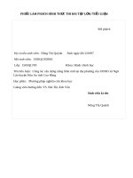 Công tác xây dựng nông thôn mới tại địa phương của UBND xã Ngũ Lão huyện Hòa An tỉnh Cao Bằng