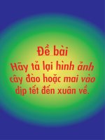 tả cây đào dịp tết đến xuân về