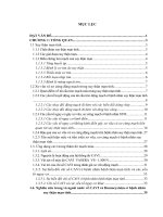 Nghiên cứu biến đổi chỉ số tim – cổ chân, nồng độ homocystein huyết thanh và một số yếu tố nguy cơ xơ vữa mạch máu ở bệnh nhân suy thận mạn thận nhân tạo chu kỳ