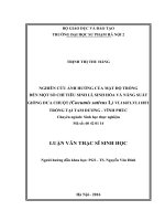 Nghiên cứu ảnh hưởng của mật độ trồng đến một số chỉ tiêu sinh lí, sinh hóa và năng suất giống dưa chuột (cucumis sativus l) VL116F1, VL118F1 trồng tại tam dương   vĩnh phúc 