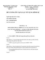 Đề cương ôn tập luật tố tụng hình sự