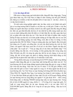 SKKN Phát huy vai trò tích cực của tổ chức Đội trong công tác phòng tránh tai nạn thương tích cho học sinh Tiểu học