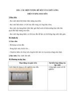 Giáo án thí nghiệm : Hiện tượng mao dẫn