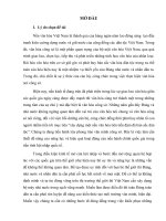 Nhận xét đánh giá về tình hình triển khai và thực hiện các quy định của Nhà nước về văn hóa công sở tại một số cơ quan hành chính nhà nước