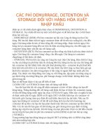 Các phí demurrage, detention và stogare đối với hàng hóa nhập khẩu