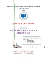 Tiểu luận môn quản trị rủi ro tài chính chương 22 phân tích kịch bản và stress test 