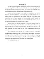 Thực trạng tổ chức bộ máy văn phòng công ty cổ phần đầu tư thương mại Khoáng sản Tuệ Dương