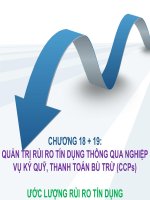 Thuyết trình chương 18 + 19 quản trị rủi ro tín dụng thông qua nghiệp vụ ký quỹ, thanh toán bù trù CCPs ước lượng rủi ro tín dụng 