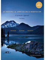 Auditing and assurance services 6e by messier glover and prawitt