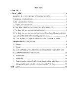 Những ảnh hưởng của toàn cầu hóa đến hoạt động của các doanh nghiệp Việt Nam