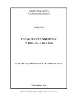 Phong Slư của người Tày ở Hòa An  Cao Bằng (Luận văn thạc sĩ)