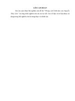 Phong cách lãnh đạo của Nguyễn Thùy Liên