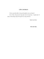 Chiến lược marketing cho dòng sản phẩm TV LCD của công ty LG electronics việt nam tại thị trường miền trung