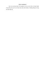 Phong cách lãnh đạo quản lý và sự ảnh hưởng đến việc xây dựng văn hóa công sở tại Uỷ ban nhân dân thành phố Việt Trì