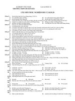 Câu hỏi trắc nghiệm ôn thi môn lịch sử 12 bài 17   20 