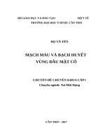 Chuyên đề giải phẫu mạch máu bạch huyết vùng đầu mặt cổ