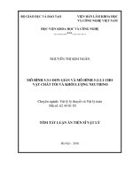 Mô hình 3-3-1 đơn giản và mô hình 3-2-2-1 cho vật chất tối và khối lượng neutrino