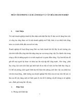 Phân tích phong cách lãnh đạo và văn hóa doanh nghiệp 