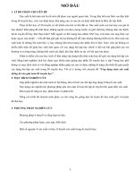 Chuyên đề  ứng dụng toán xác suất thống kê vào giải toán di truyền học