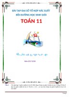 Chuyên đề đại số tổ hợp, xác suất, nhị thức niu tơn bồi dưỡng học sinh giỏi toán 11
