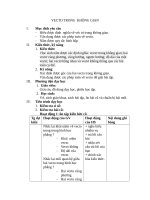 VECTO TRONG KHÔNG GIAN