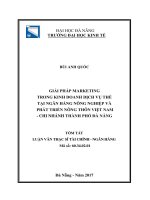 Giải pháp marketing trong kinh doanh dịch vụ thẻ tại ngân hàng nông nghiệp  phát triển nông thôn việt nam   chi nhánh thành phố đà (tt) 