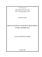Bảo vệ người tố cáo hành vi tham nhũng ở Việt Nam hiện nay (Luận án tiến sĩ)